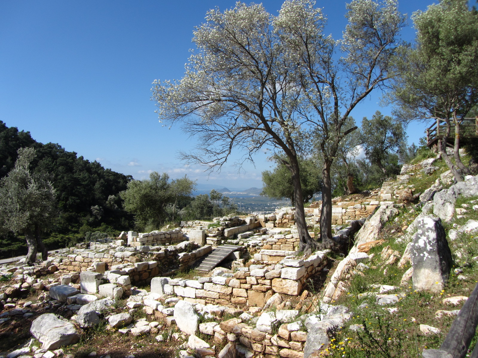 ancient city of pedasa